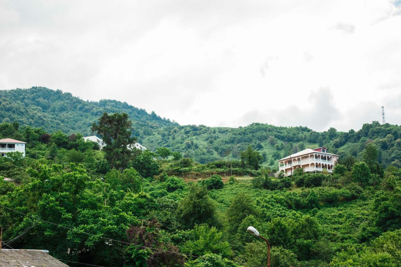 Hotel Ararat 高尼奥 外观 照片